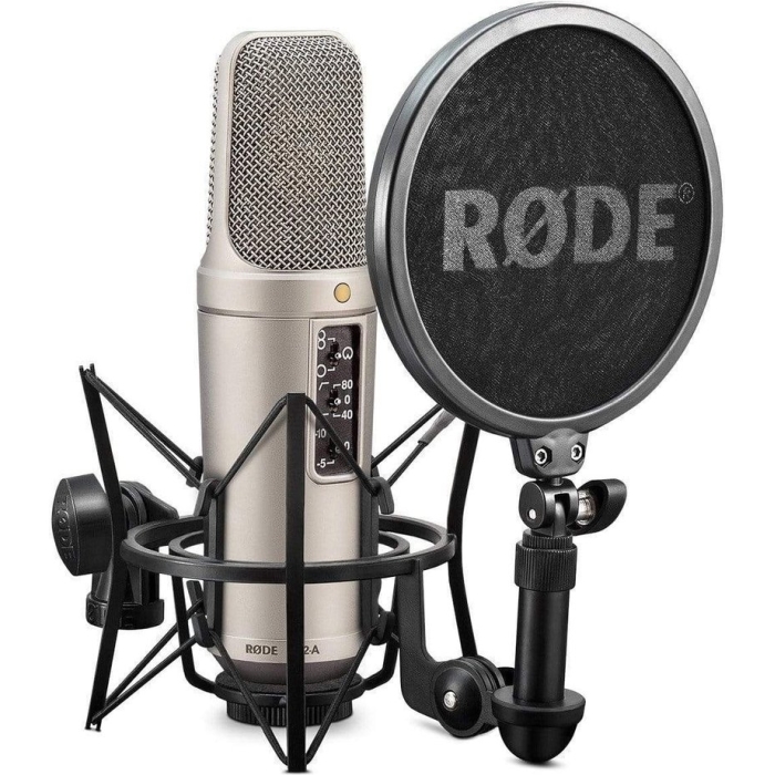 rode-condenser-microphone-rode-nt2-a-large-diaphragm-condenser-microphone-15088198516820_5000x