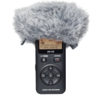ws-11_p_dr-05
