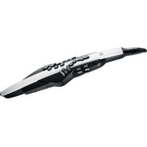 Roland AE-20 Aerophone Digital Wind Instrument