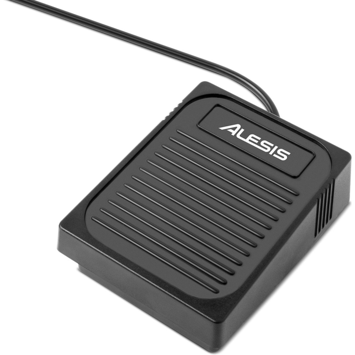 LQSJConcert_pedal_hires-scaled