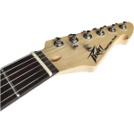 Peavey_Raptor_Plus_Black_Headstock_00489450_lg