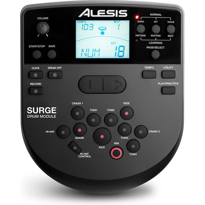 SurgeDrumModule_Ortho