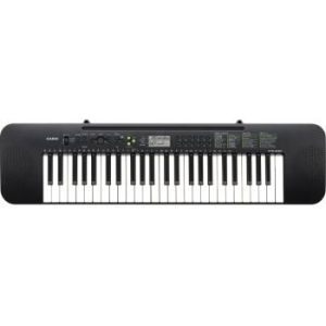 Casio CTK240 + ADE95100  Mid Level Keyboards