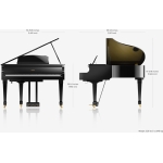 gallery_size_black