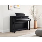 CLP-800-5