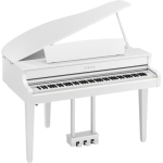 CLP-865GPWH-2-650x650