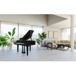 CLP-895GP-