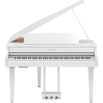 CLP-895GPWH-1-650x650