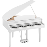 CLP-895GPWH-2-650x650