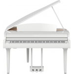 CLP795GPWH-1-650x650