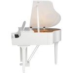 CLP795GPWH-2-650x650