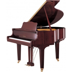 Yamaha Baby Grand Piano Gb1K Pm-Polished Mahogany