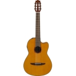 NCX1FM-1-650x650