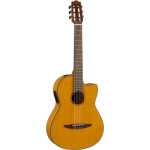 NCX1FM-2-650x650