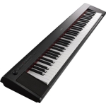 NP-12b-1-650x650
