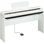 P-125WH-a-650x650
