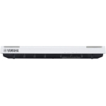 P-125WH-d-650x650
