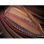 P-145-Features-CFIIIS_c385228b1ad61a412c40745ecde269f4