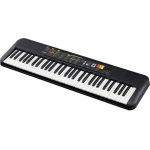 PSR-F52-Sub-2-650x650