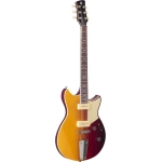 RSS02TSB-2-650x650