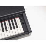 YDP-105-5-650x650